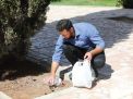 گزارش تصویری آزمون کارشناسی روز دوم